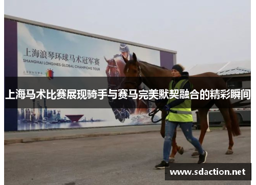 上海马术比赛展现骑手与赛马完美默契融合的精彩瞬间