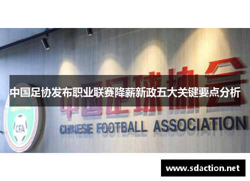 中国足协发布职业联赛降薪新政五大关键要点分析