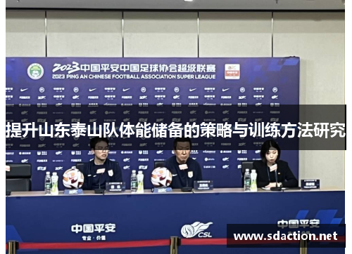 提升山东泰山队体能储备的策略与训练方法研究