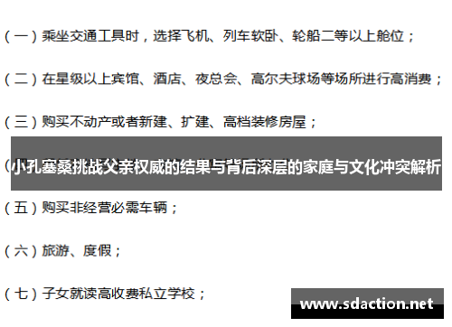 小孔塞桑挑战父亲权威的结果与背后深层的家庭与文化冲突解析